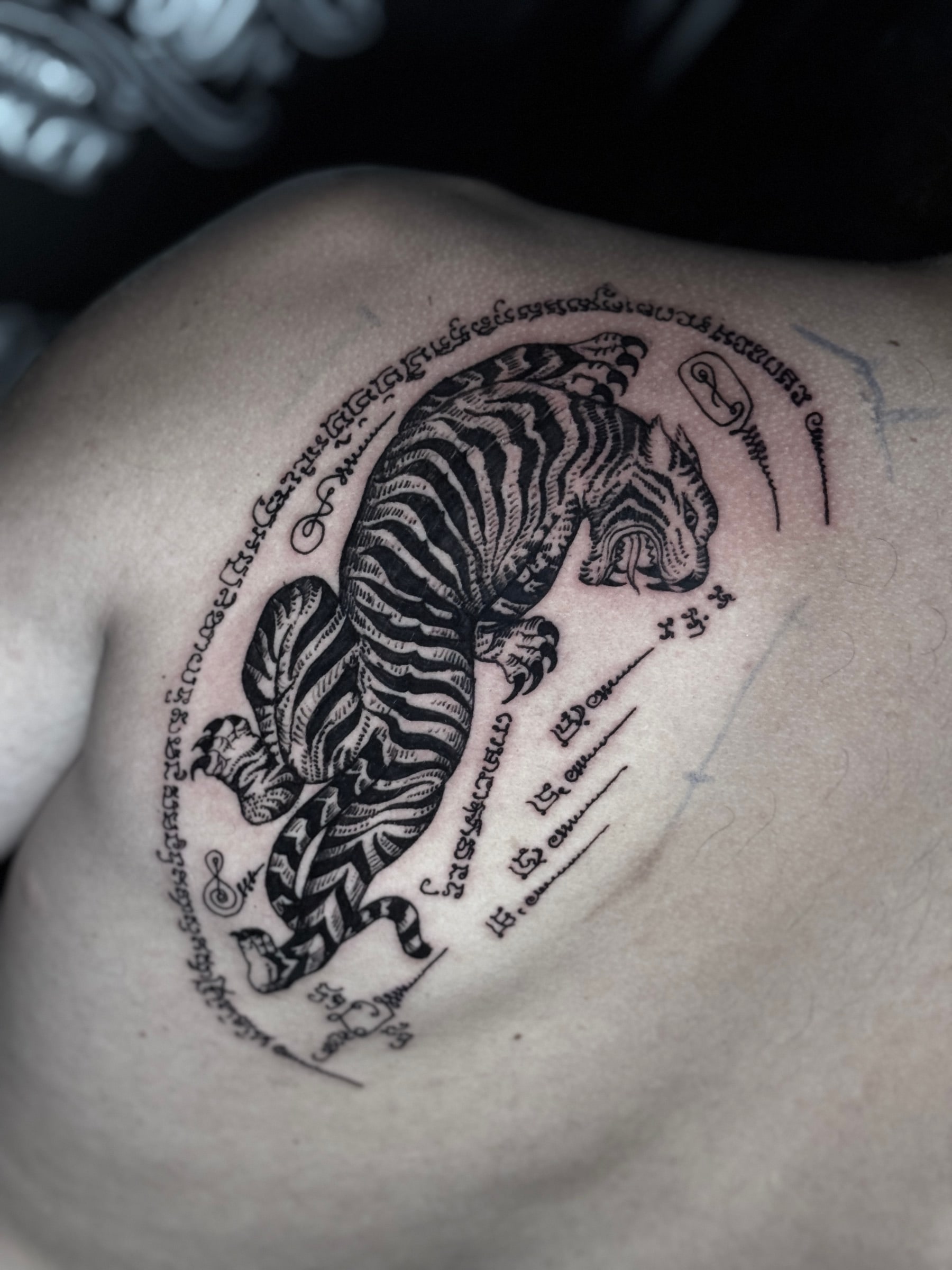 Traditional Suea (Tiger) Sak Yant of a leaping tiger surrounded by sacred Khom script and unalome symbols on the upper back at Bloodline Tattoo Phuket.