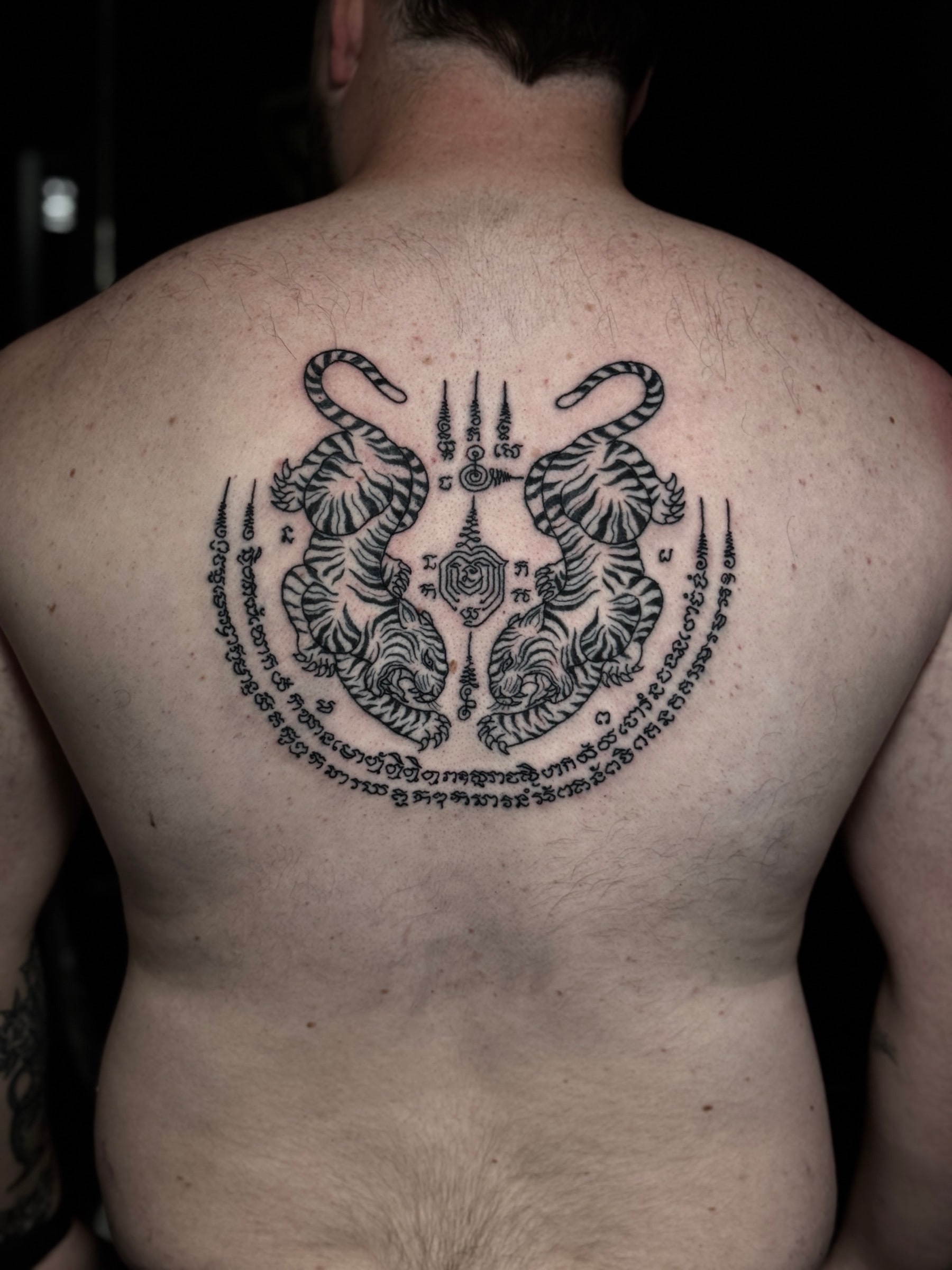 Suea Koo (Twin Tigers) Sak Yant with symmetrical tigers, Khom script crescent, and unalomes centered on the upper back at Bloodline Tattoo Phuket.