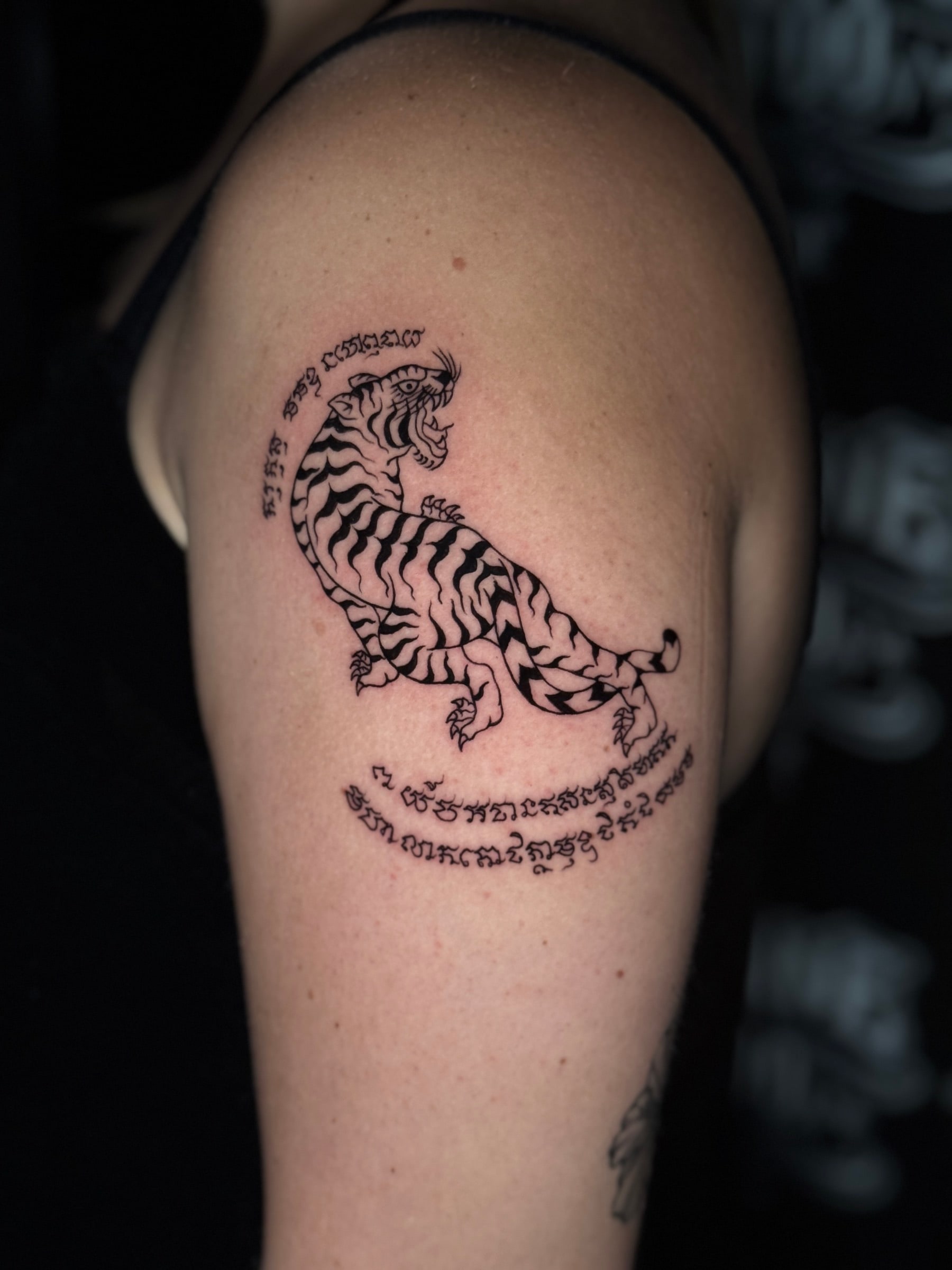 Suea (Tiger) Sak Yant of a snarling tiger surrounded by curved Khom script on the upper arm at Bloodline Tattoo Phuket.